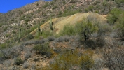 PICTURES/Hiking The Dixie Mine Trail/t_Tailings1.JPG